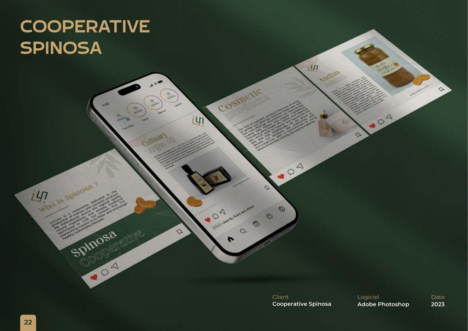 Réalisation 1 du projet Coopérative Spinosa